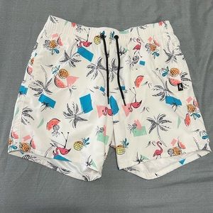 Hollister swim shorts